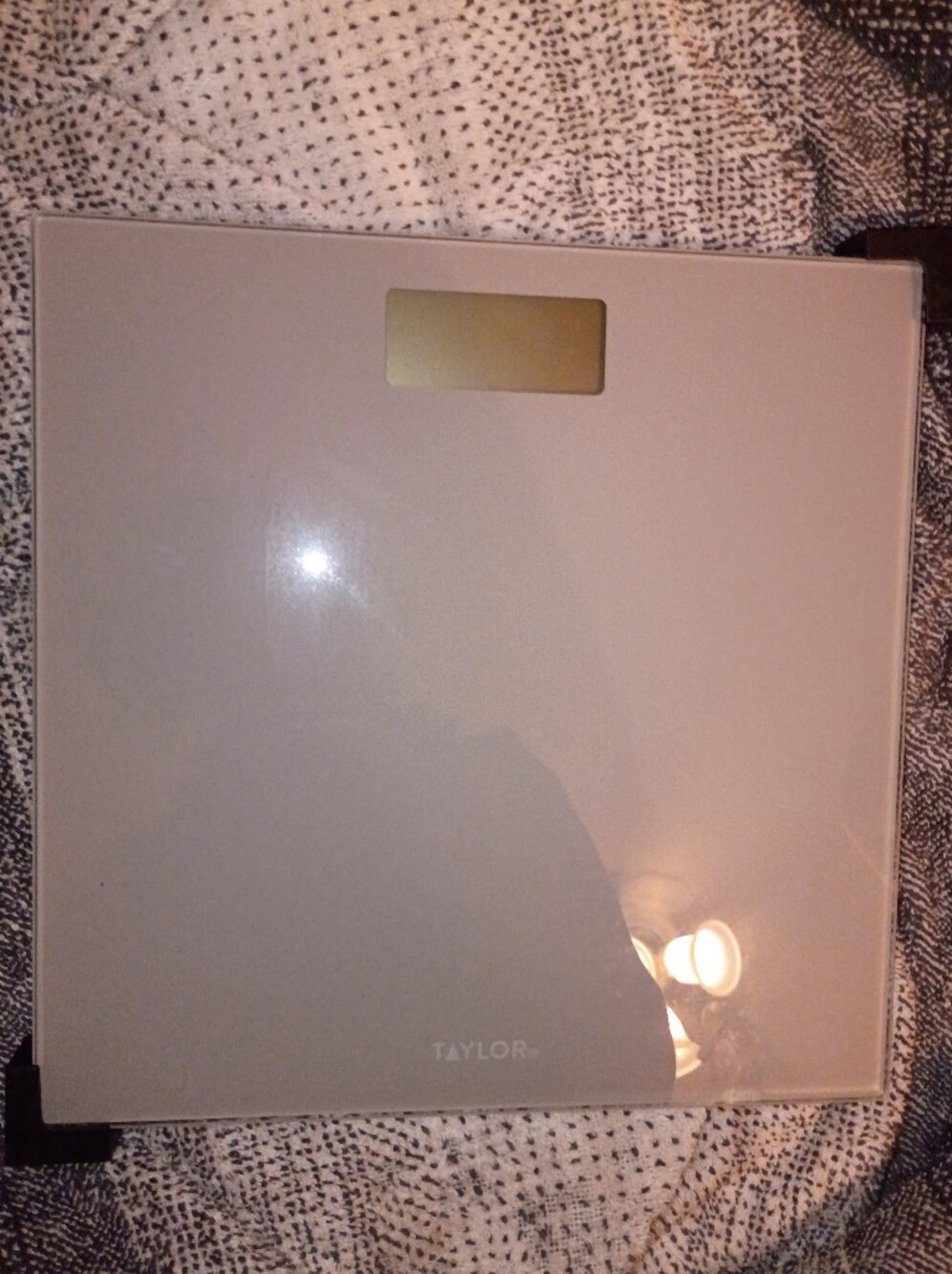 New Scale - Picture 6 of 6